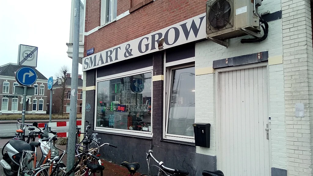 A small local Marijuana store in the city of Groningen.